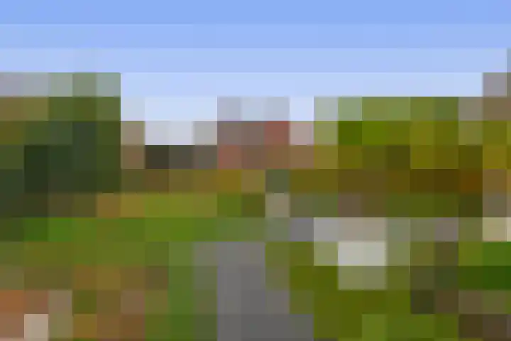 De Flerustraat 4 Heeswijk-Dinther thumbnail 29