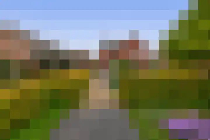 De Flerustraat 4 Heeswijk-Dinther thumbnail 30
