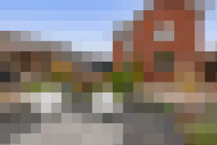 De Flerustraat 4 Heeswijk-Dinther thumbnail 31