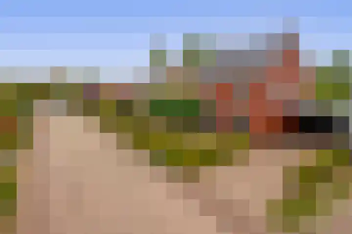 De Flerustraat 4 Heeswijk-Dinther thumbnail 35