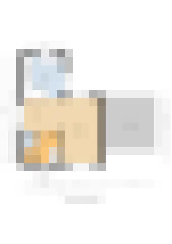 De Flerustraat 4 Heeswijk-Dinther thumbnail 38
