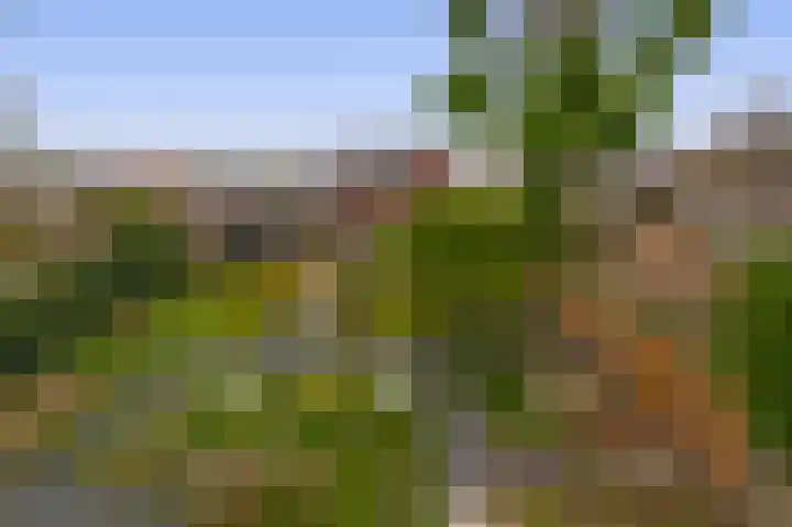 De Flerustraat 4 Heeswijk-Dinther thumbnail 4
