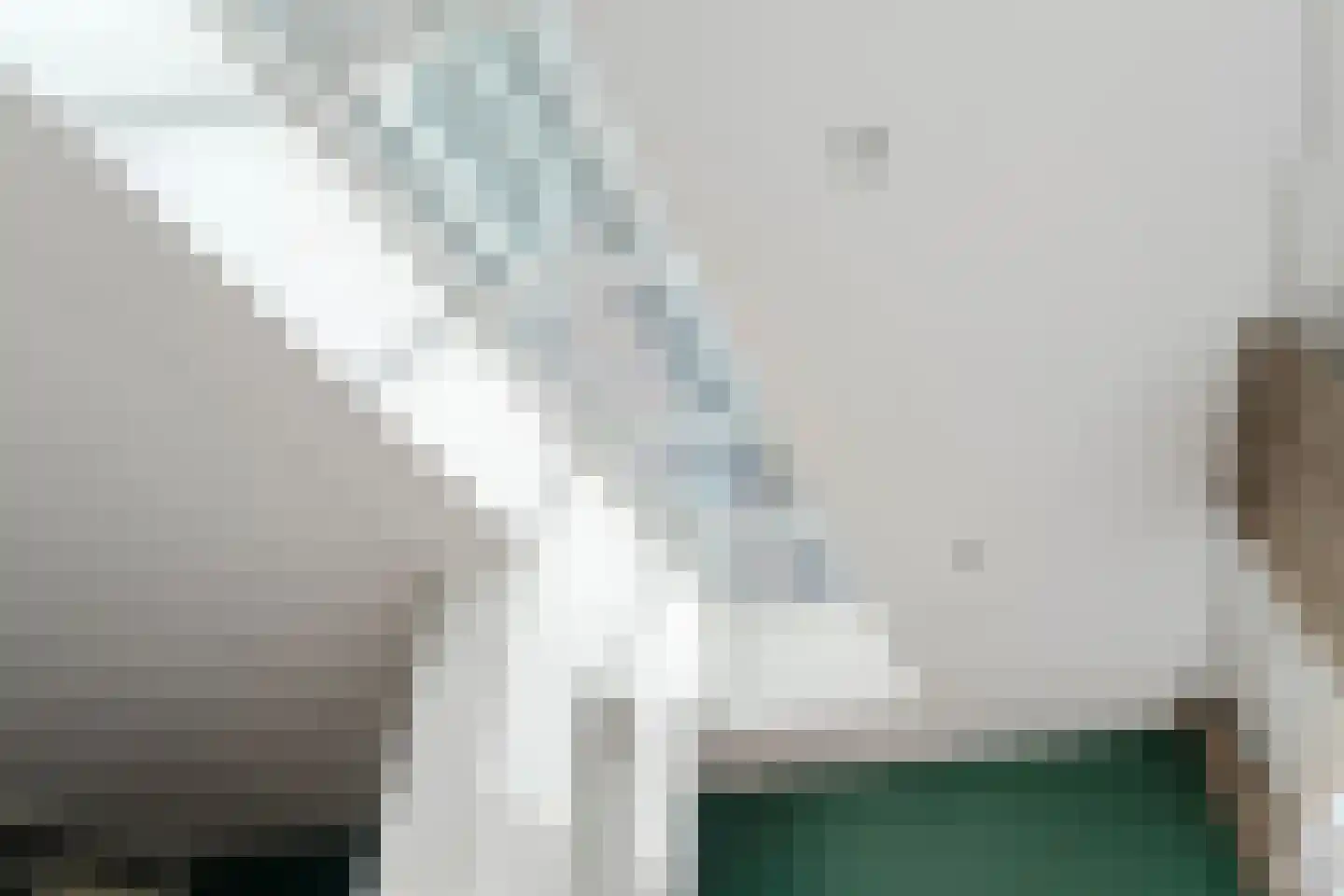 de Flier 3012 Wijchen thumbnail 21