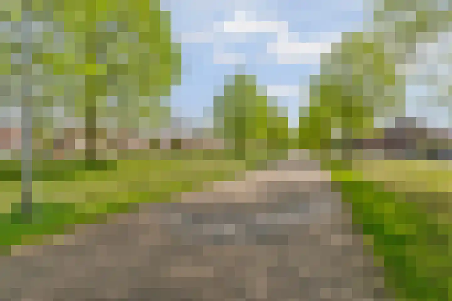 de Flier 3012 Wijchen thumbnail 61