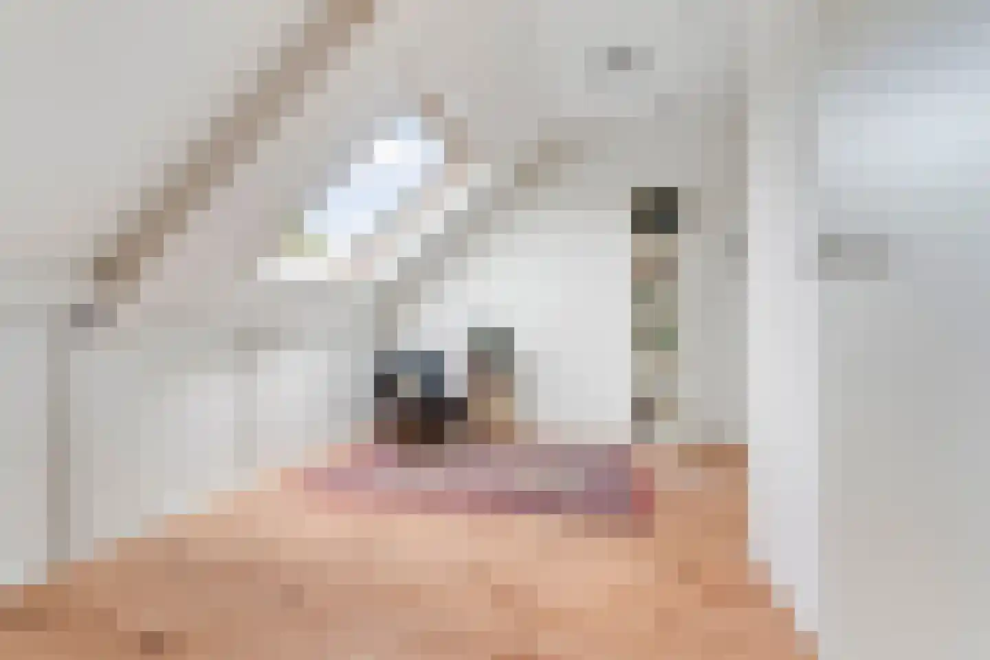 de Flier 3012 Wijchen thumbnail 7