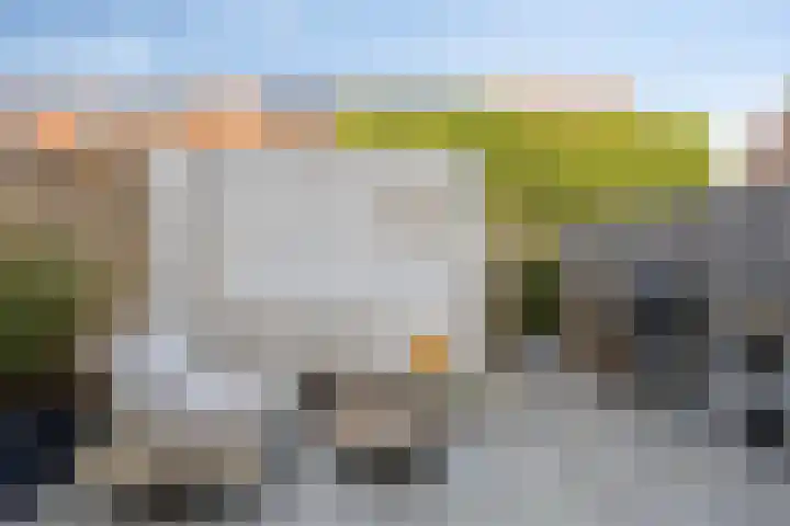 de Flier 3328 Wijchen thumbnail 35