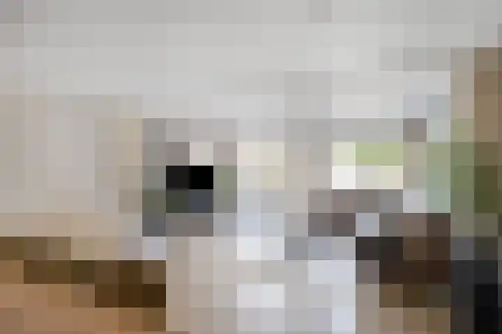 de Flier 3328 Wijchen thumbnail 4
