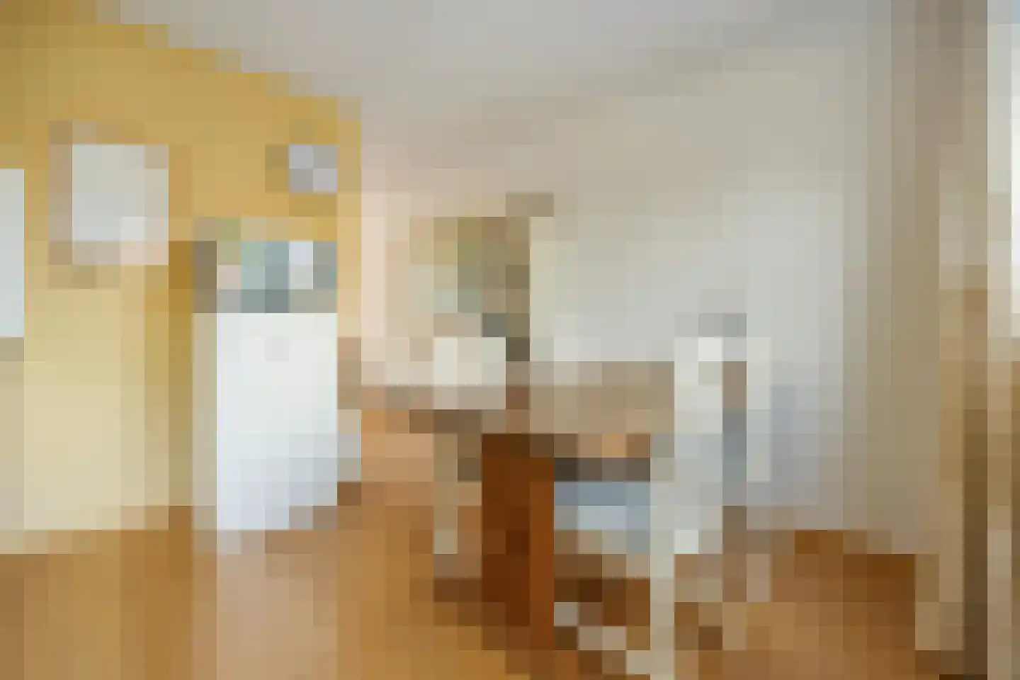 de Flier 3420 Wijchen thumbnail 10
