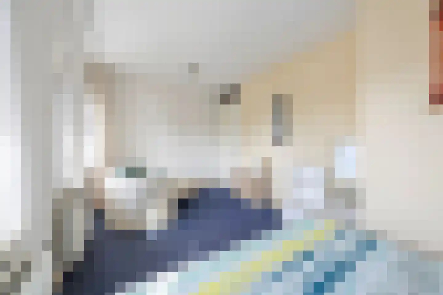 de Flier 3420 Wijchen thumbnail 12