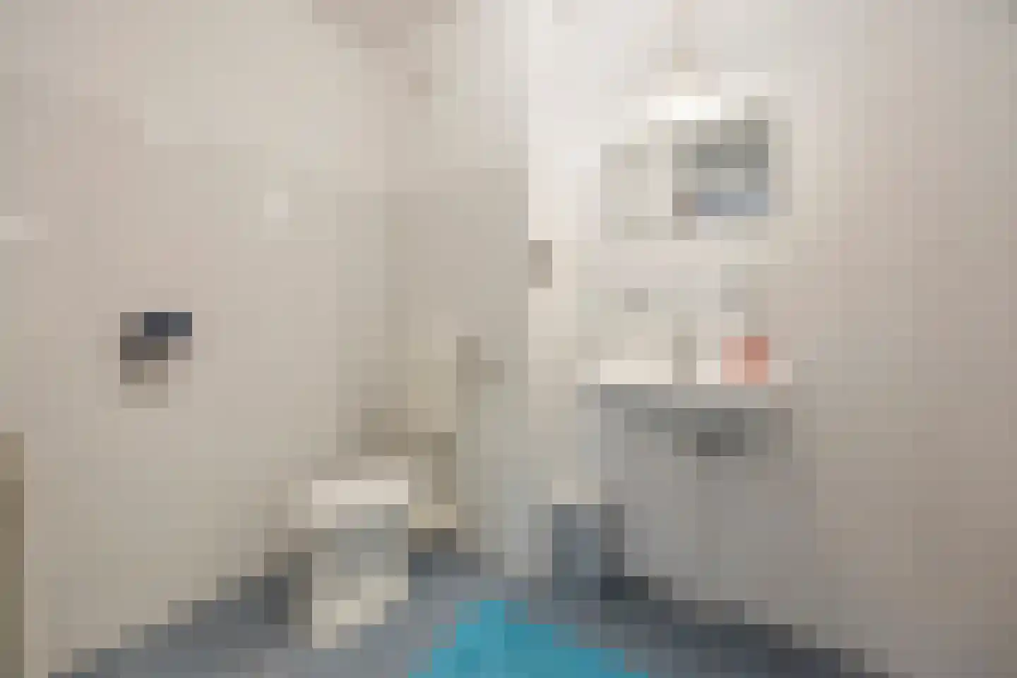 de Flier 3420 Wijchen thumbnail 17