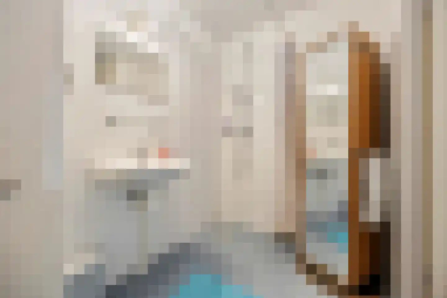 de Flier 3420 Wijchen thumbnail 18