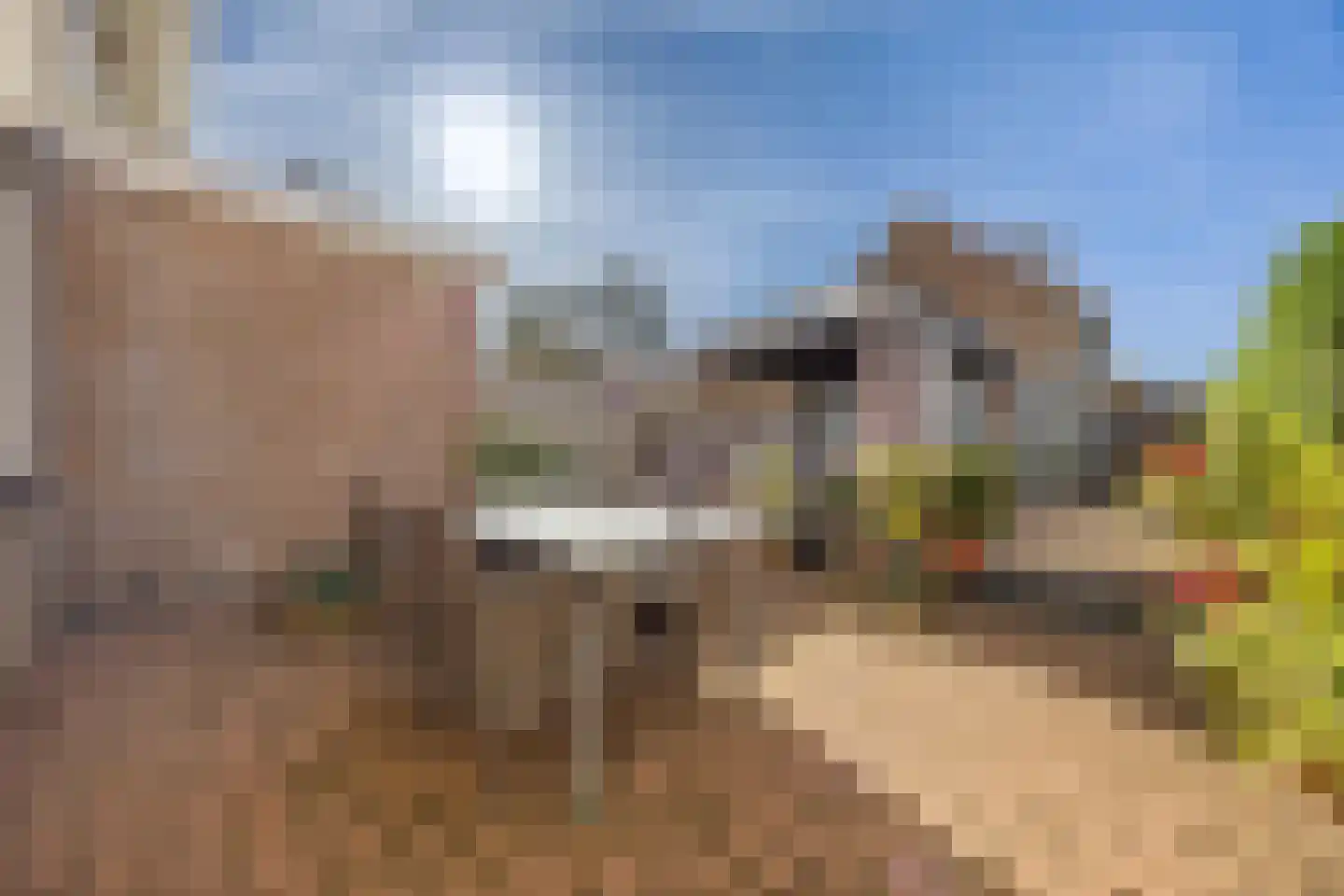 de Flier 3420 Wijchen thumbnail 23