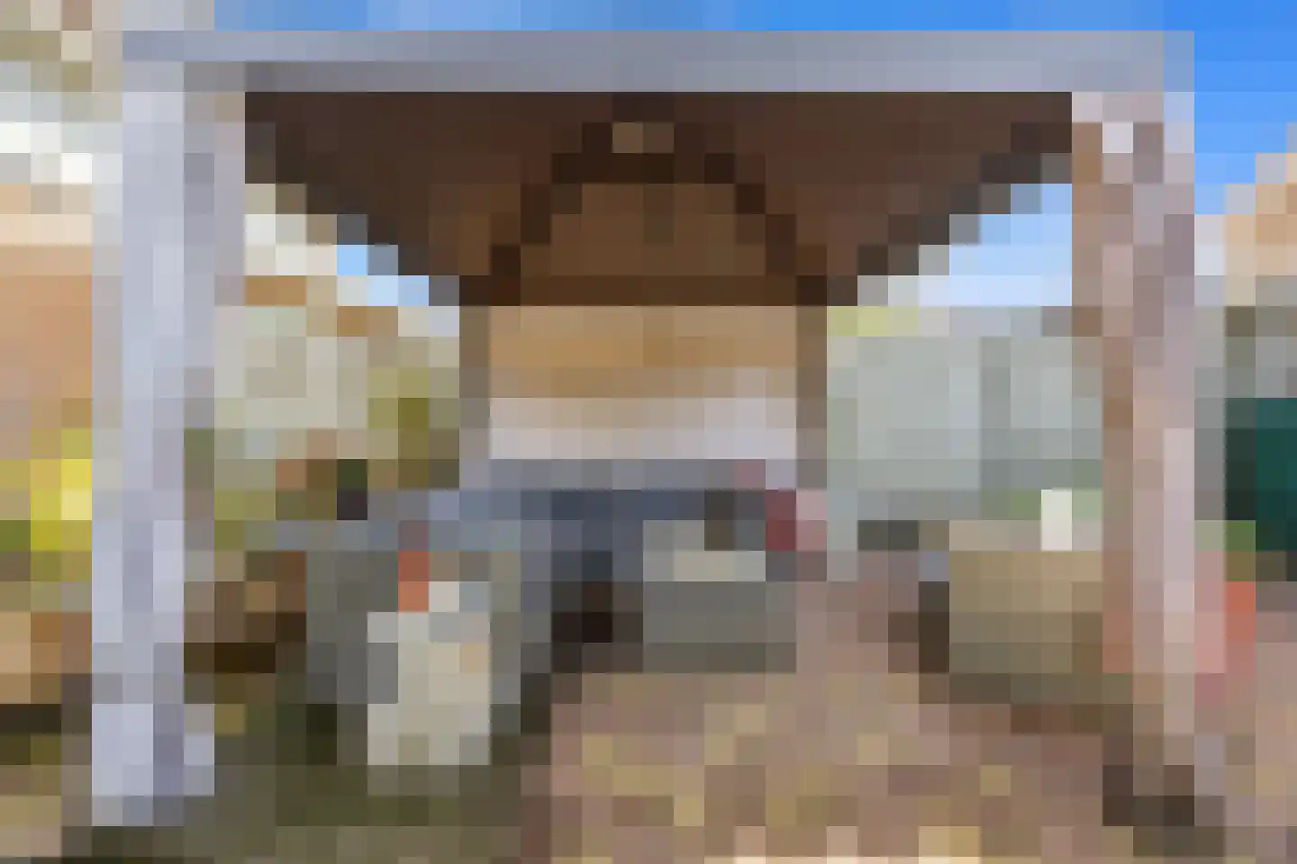 de Flier 3420 Wijchen thumbnail 25
