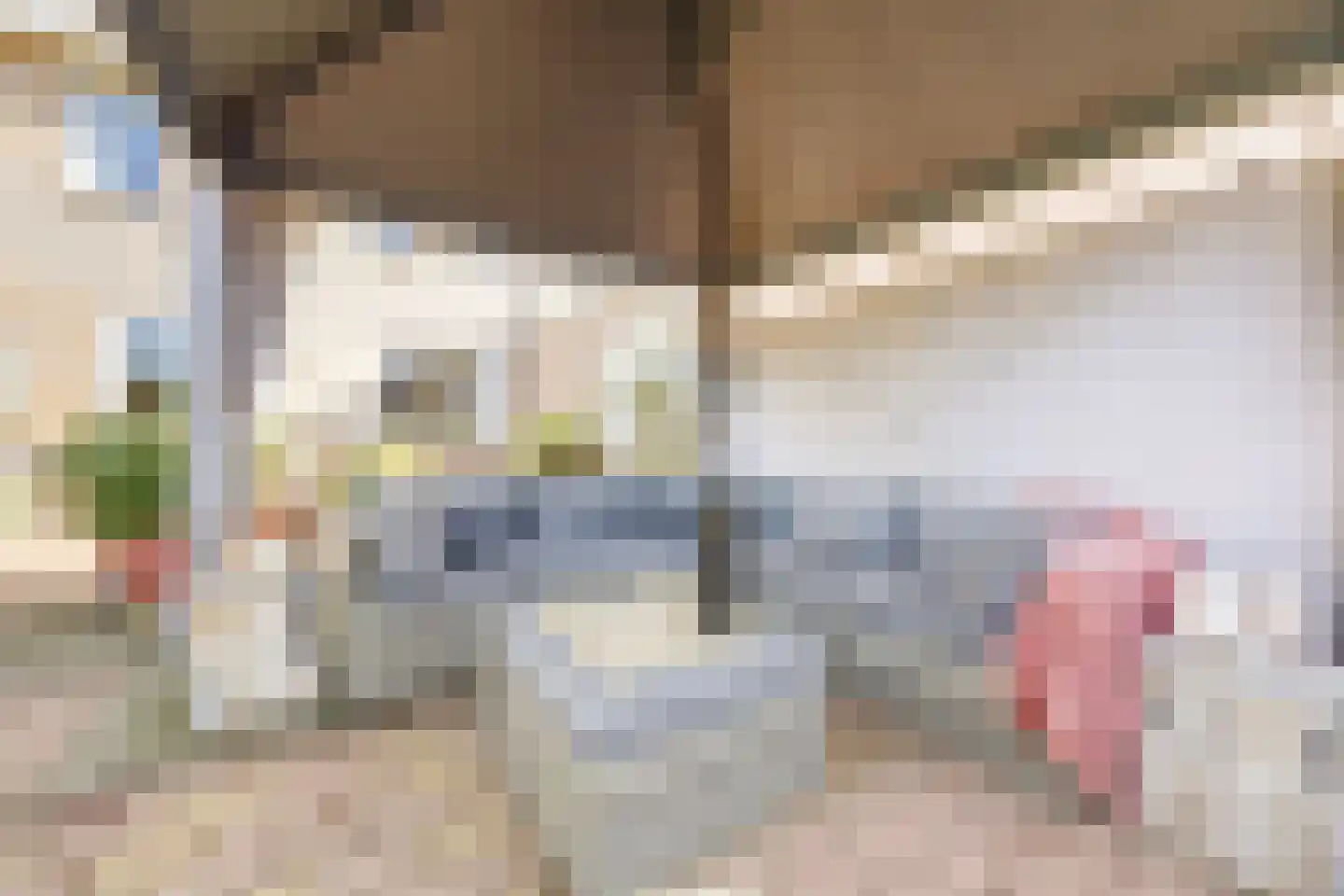 de Flier 3420 Wijchen thumbnail 26
