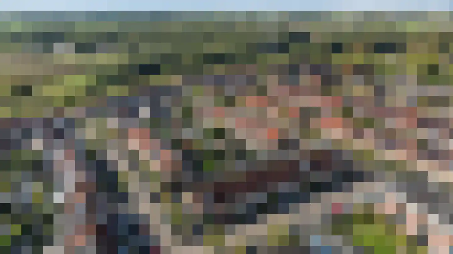 de Flier 3420 Wijchen thumbnail 33