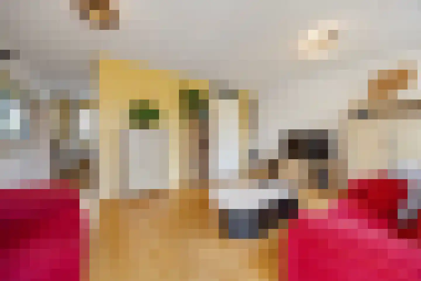 de Flier 3420 Wijchen thumbnail 6