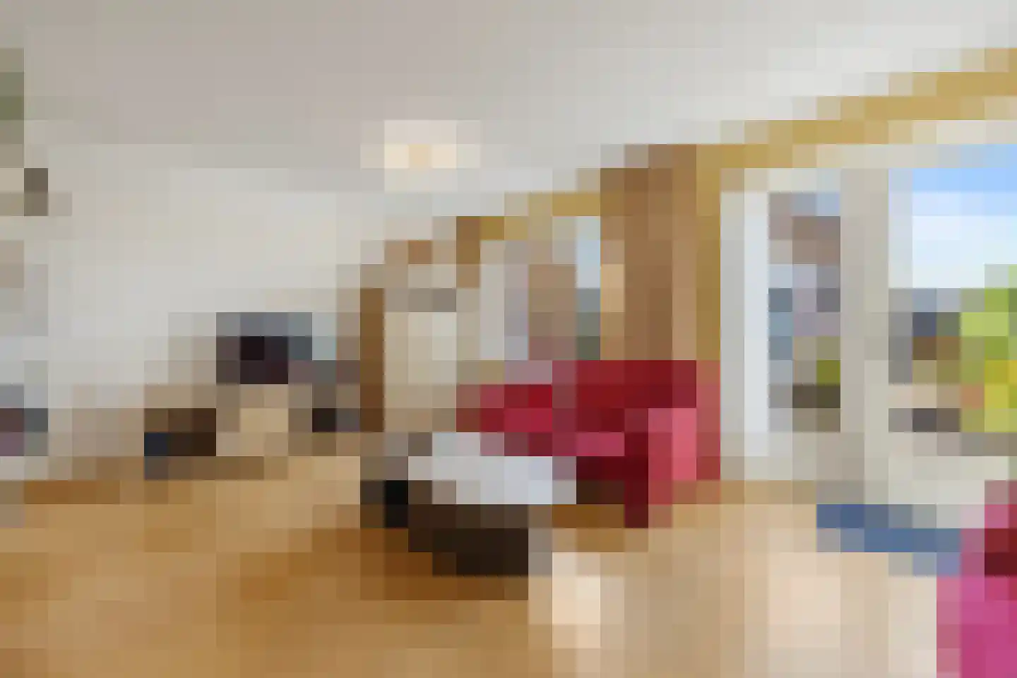 de Flier 3420 Wijchen thumbnail 7
