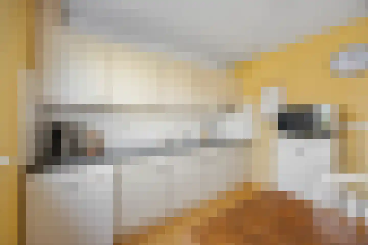 de Flier 3420 Wijchen thumbnail 9
