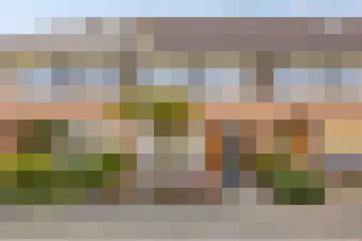 de Flier 3654 Wijchen