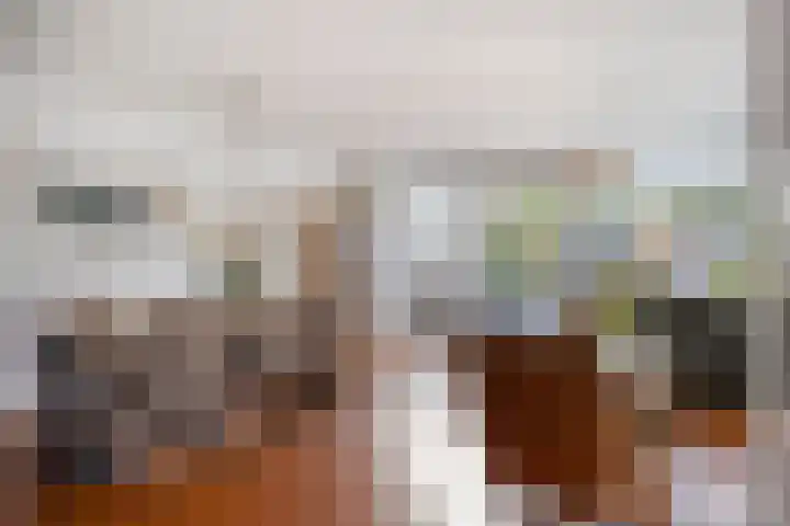 de Flier 3654 Wijchen thumbnail 12