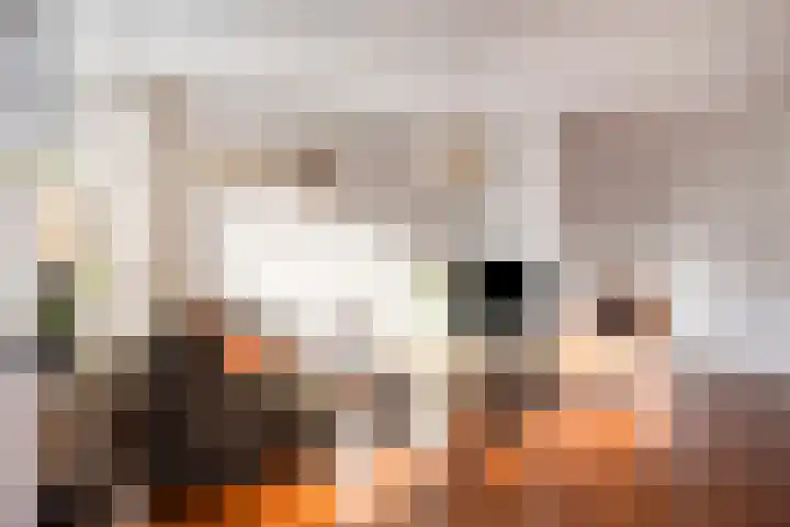 de Flier 3654 Wijchen thumbnail 13