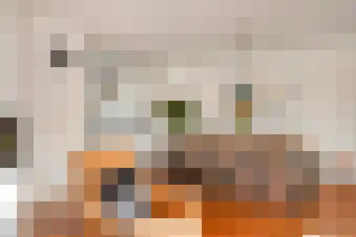 de Flier 3654 Wijchen thumbnail 15