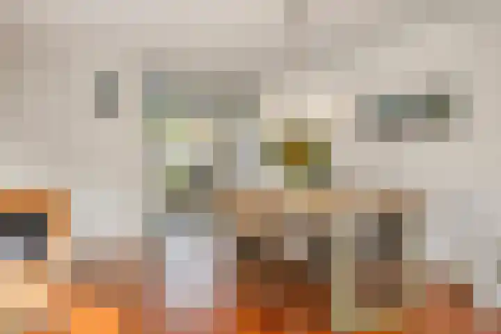 de Flier 3654 Wijchen thumbnail 16