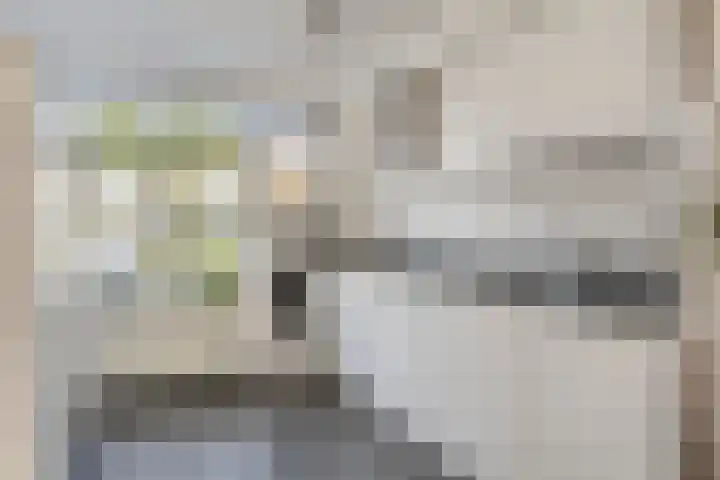 de Flier 3654 Wijchen thumbnail 18