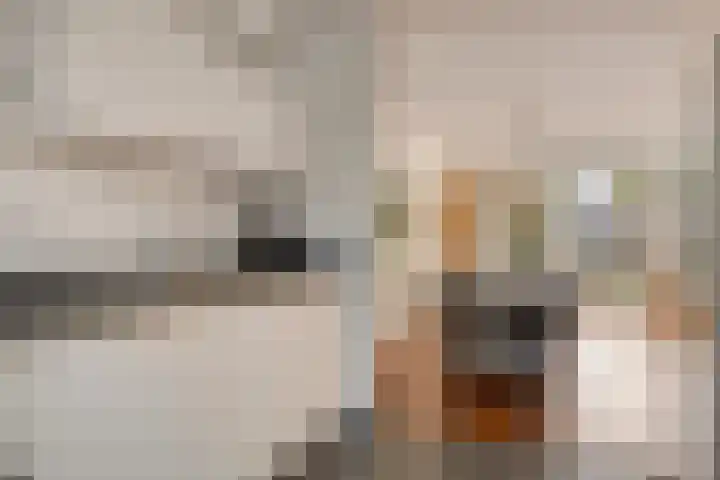 de Flier 3654 Wijchen thumbnail 19