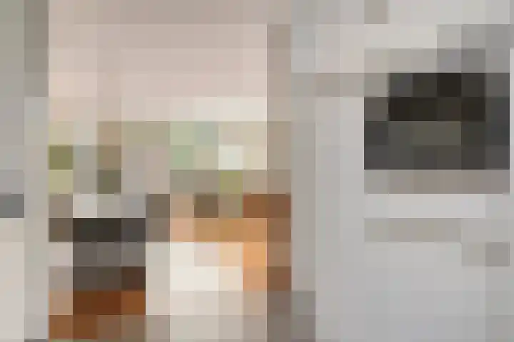 de Flier 3654 Wijchen thumbnail 20