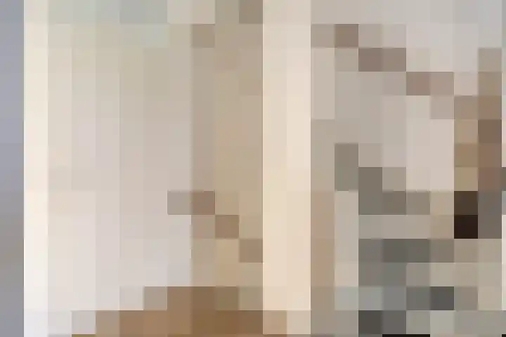 de Flier 3654 Wijchen thumbnail 21