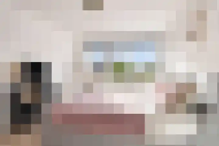 de Flier 3654 Wijchen thumbnail 26