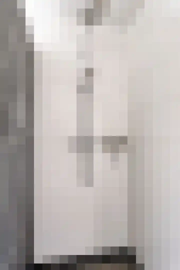 de Flier 3654 Wijchen thumbnail 31