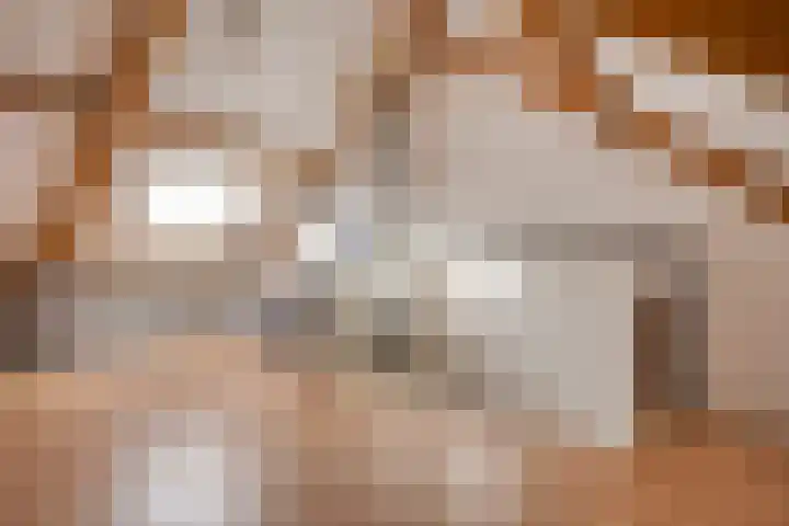 de Flier 3654 Wijchen thumbnail 34