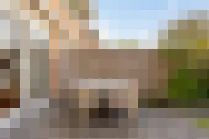 de Flier 3654 Wijchen thumbnail 36