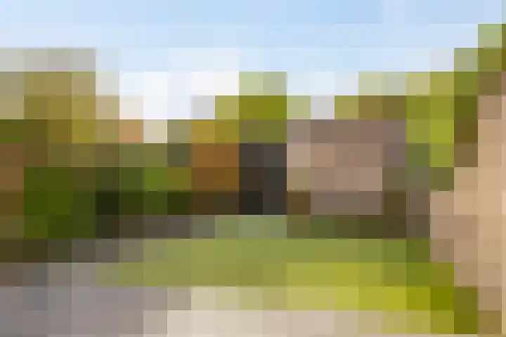 de Flier 3654 Wijchen thumbnail 37