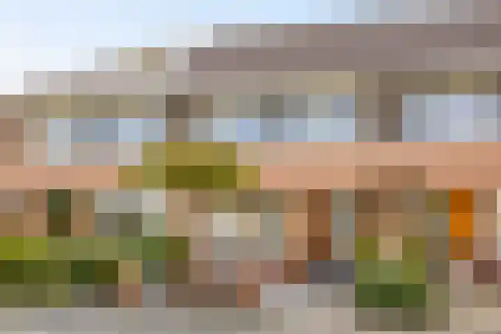 de Flier 3654 Wijchen thumbnail 38