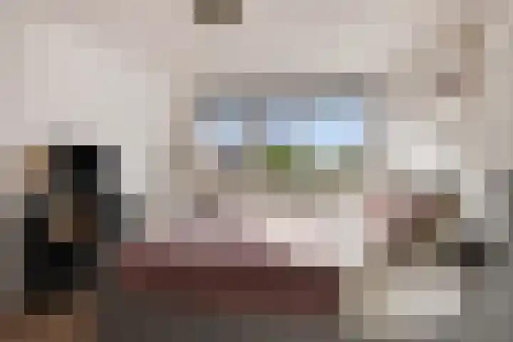 de Flier 3654 Wijchen thumbnail 4