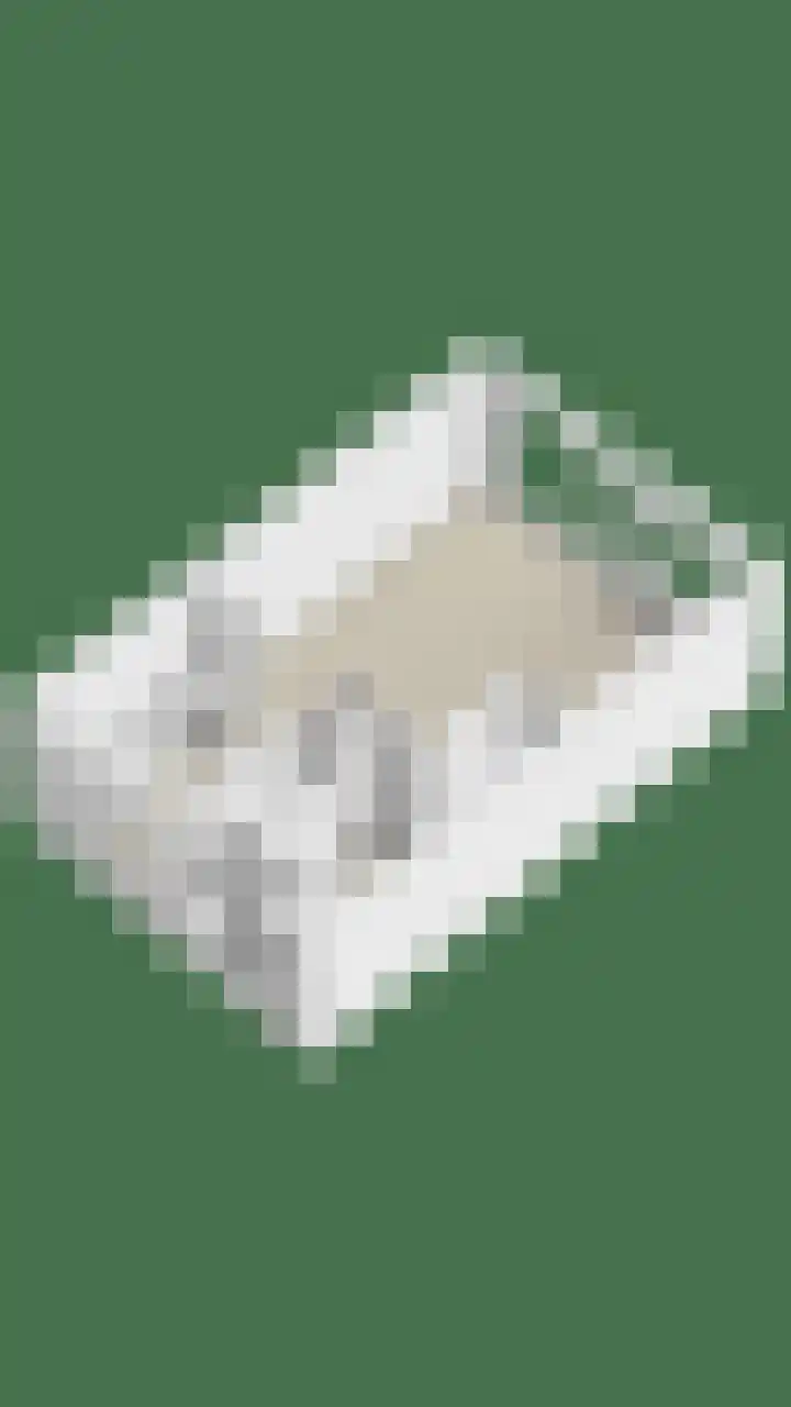 de Flier 3654 Wijchen thumbnail 44