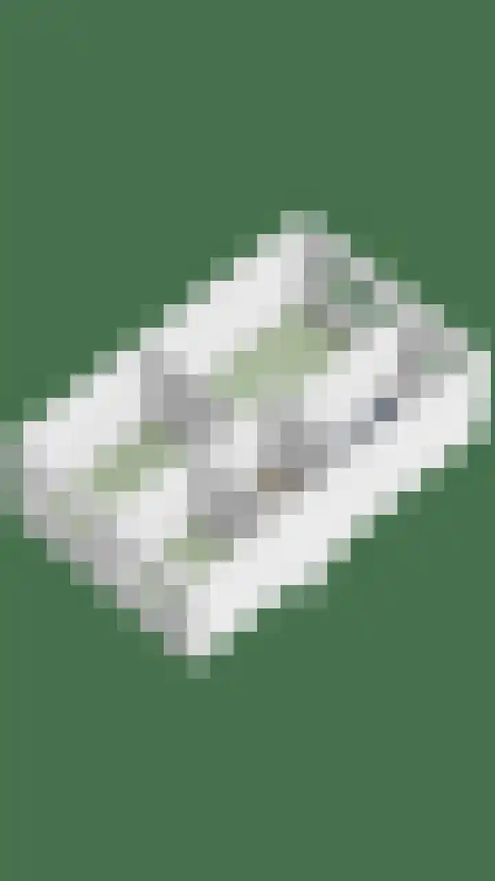 de Flier 3654 Wijchen thumbnail 45