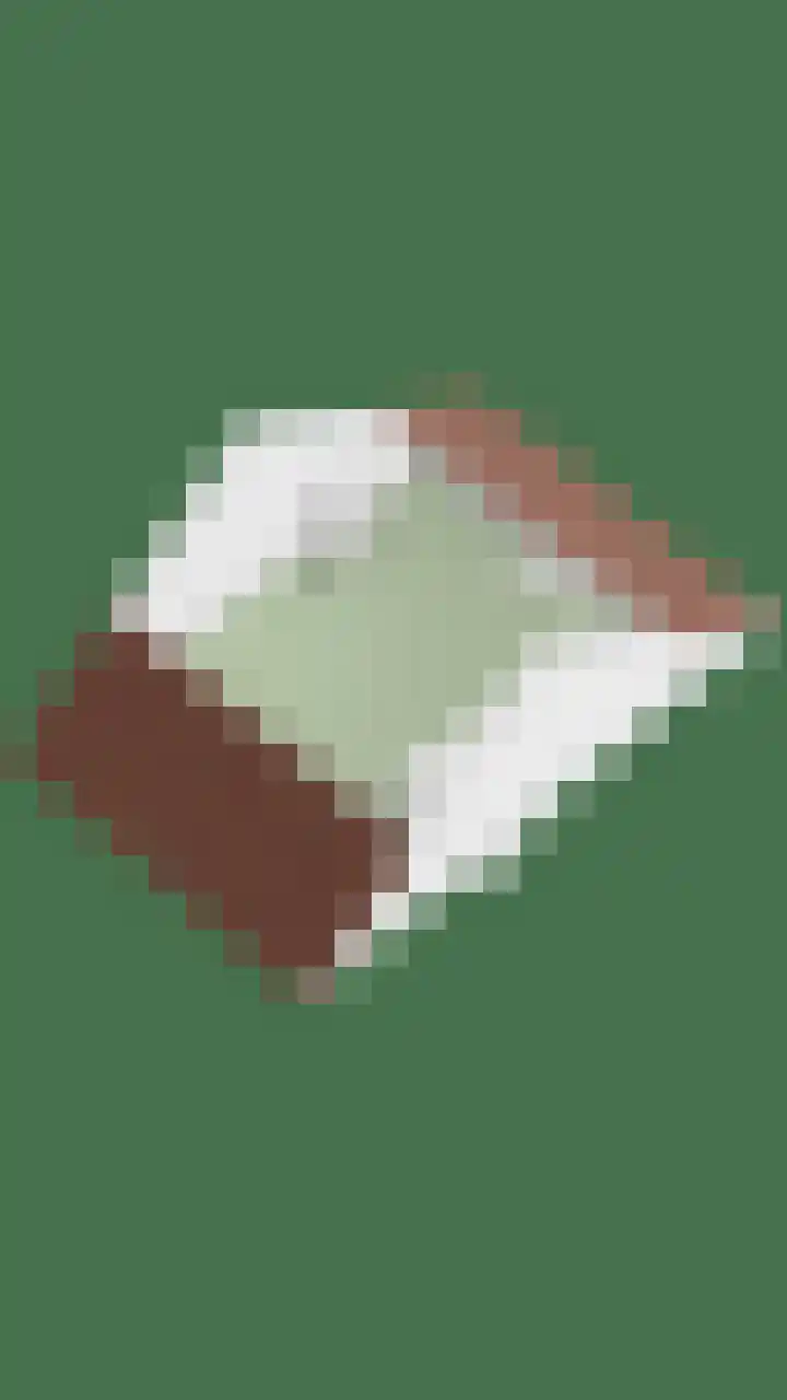 de Flier 3654 Wijchen thumbnail 46