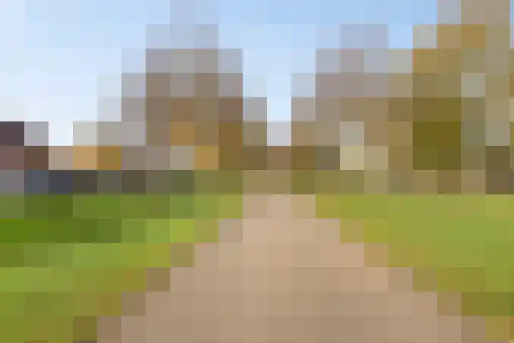 de Flier 3654 Wijchen thumbnail 48