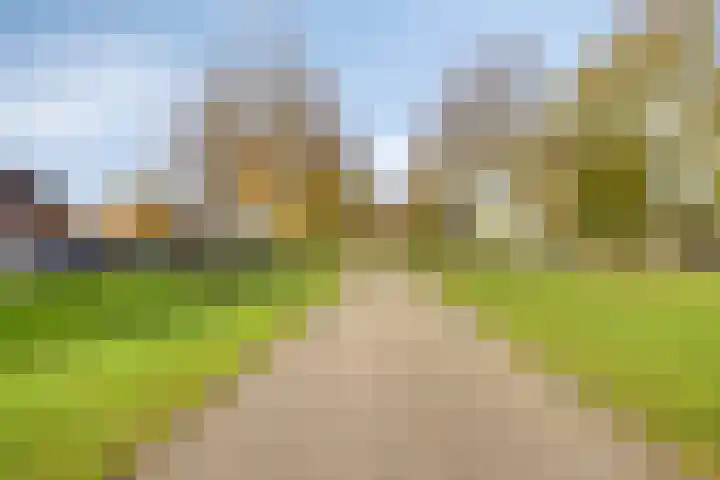 de Flier 3654 Wijchen thumbnail 49