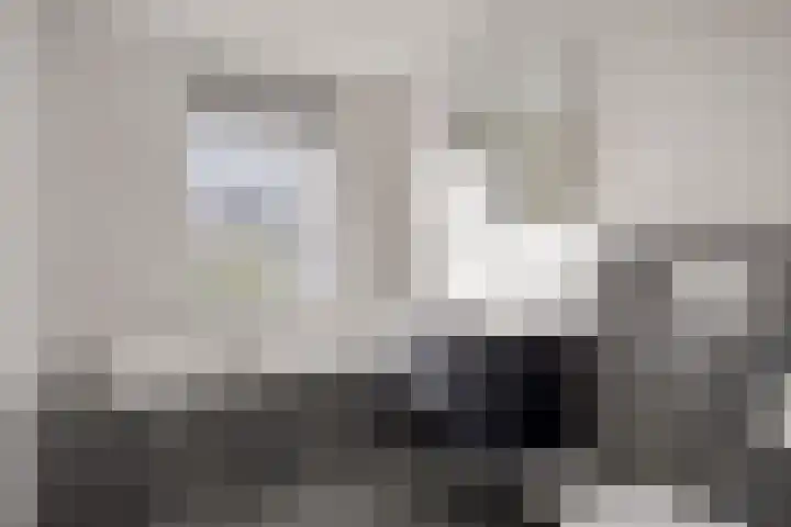 de Flier 3654 Wijchen thumbnail 5