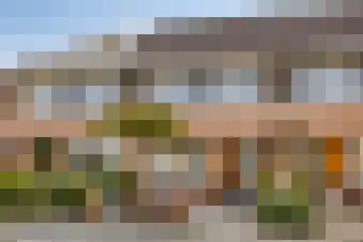 de Flier 3654 Wijchen thumbnail 7