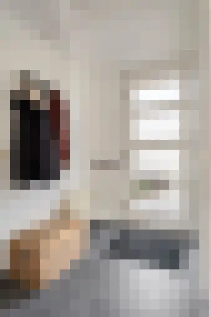 de Flier 3654 Wijchen thumbnail 8