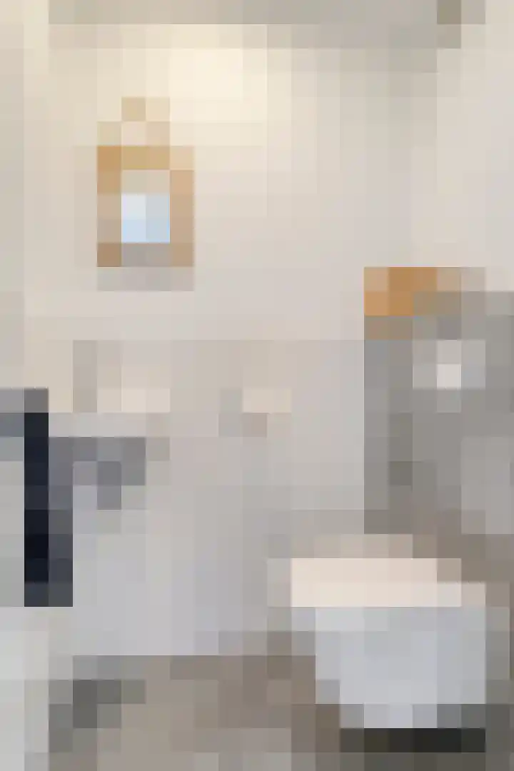 de Flier 3654 Wijchen thumbnail 9