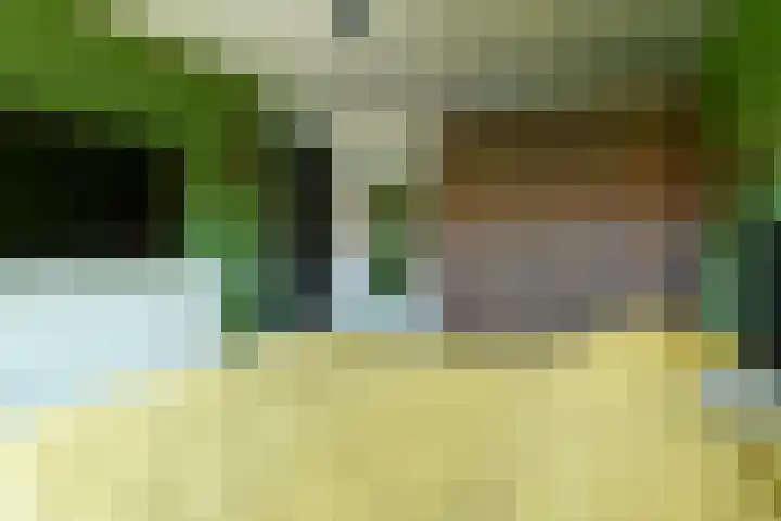 de Flier 3811 Wijchen thumbnail 19