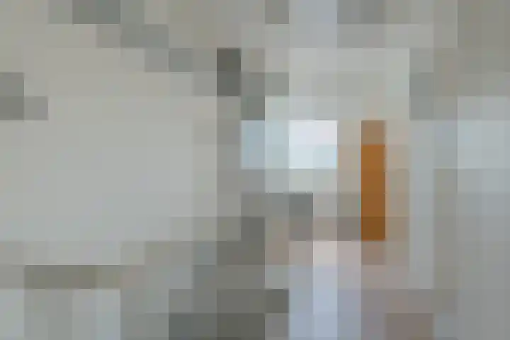 de Flier 3811 Wijchen thumbnail 27