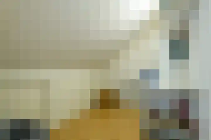 de Flier 3811 Wijchen thumbnail 30